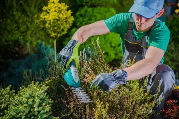 landscaping services Huntsville